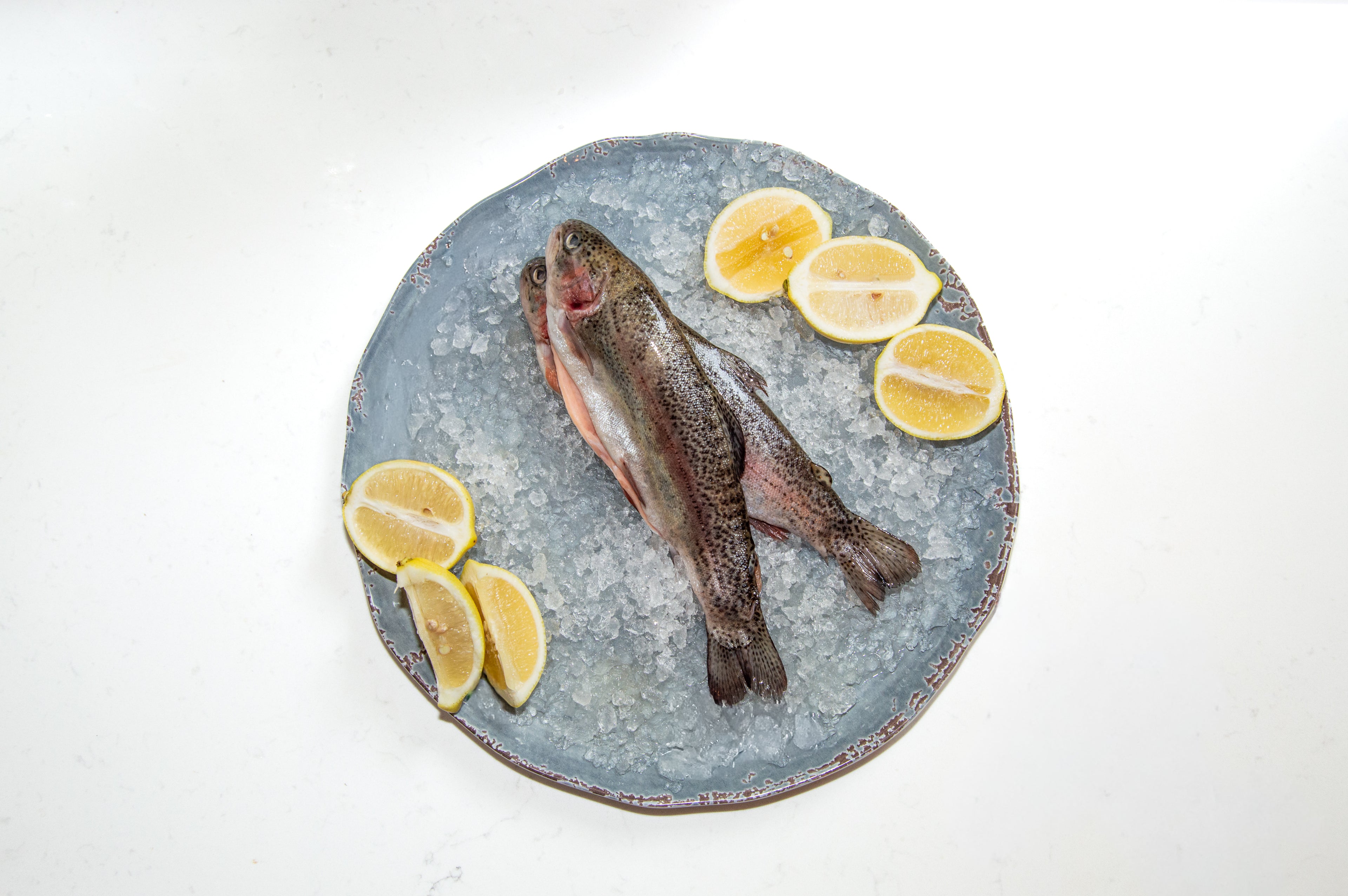 Whole Deboned Trout
